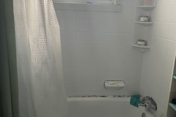 Before 1 Bath - Brierley