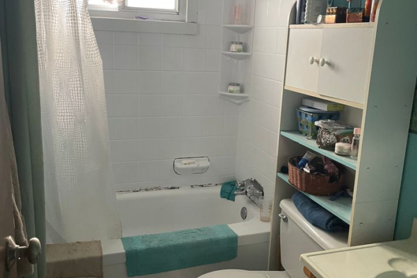 Before 2 Bath - Brierley